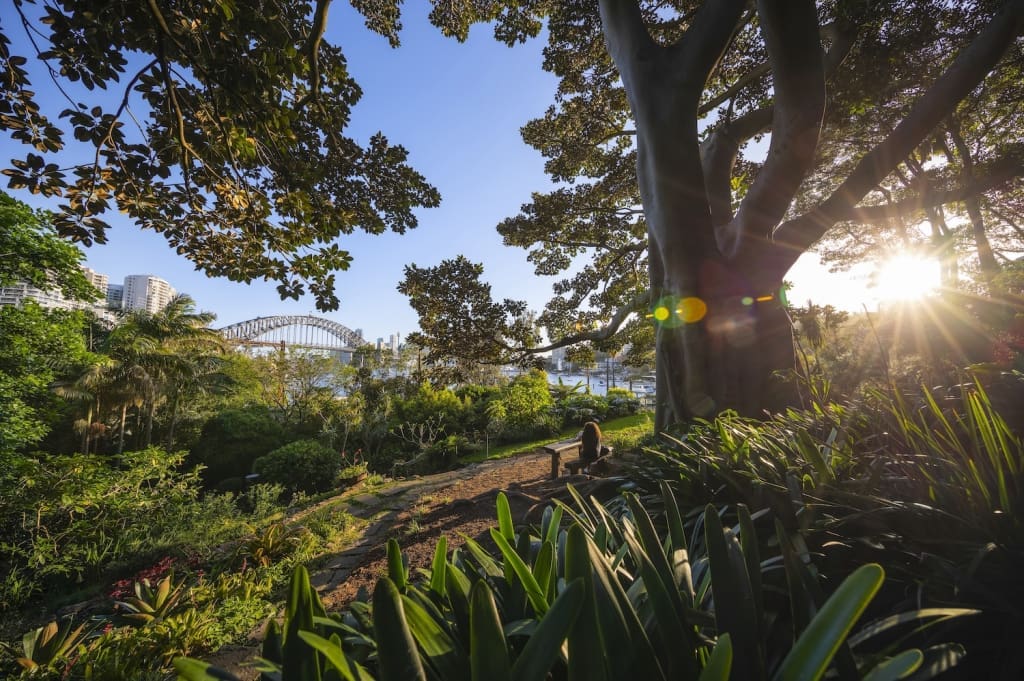 Woman enjoying the serenity in Wendy Whiteley's Secret Garden in Lavender Bay.